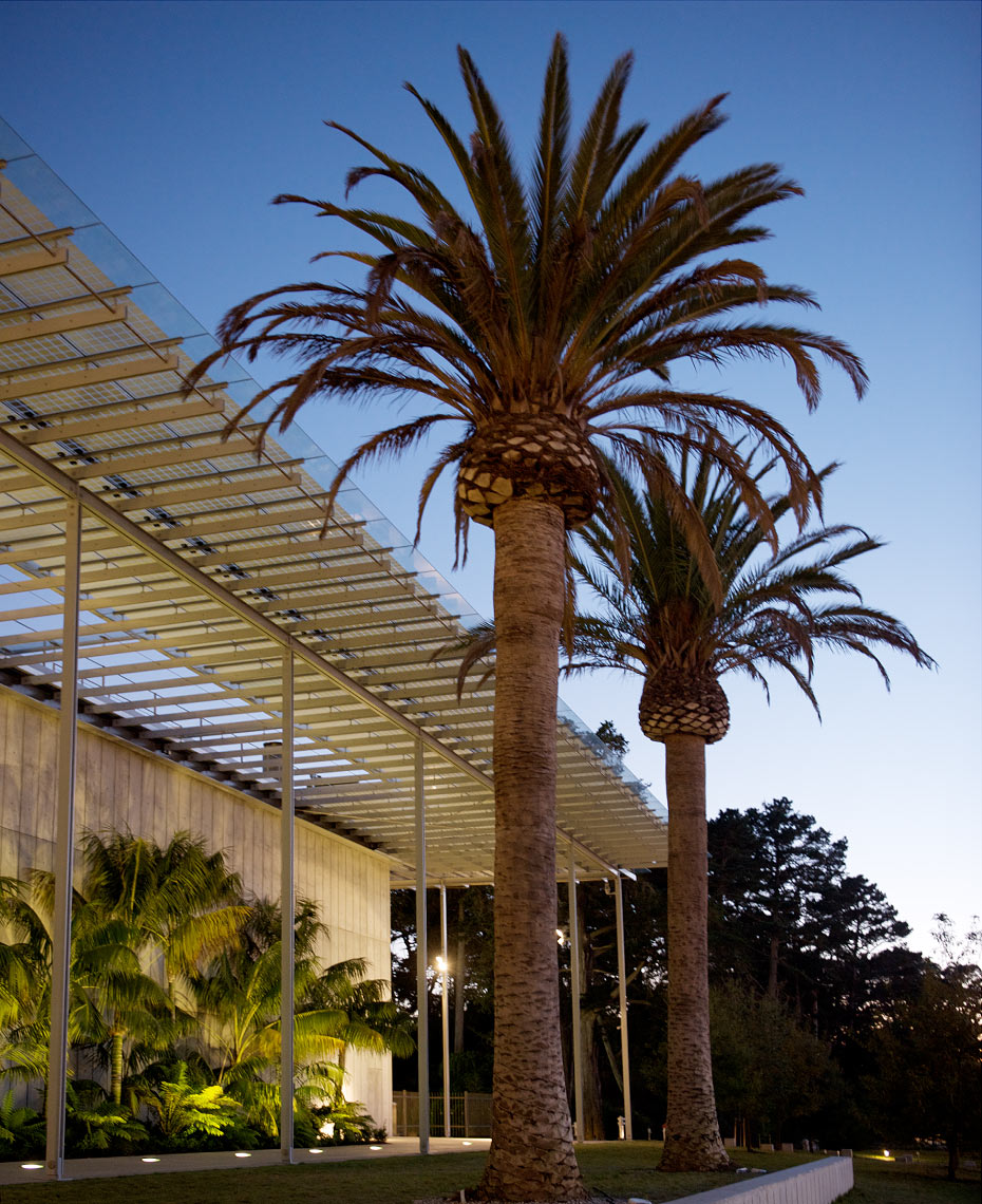 california academy of sciences
