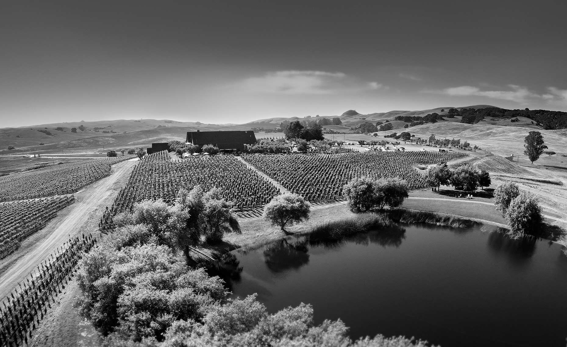 rams gate winery aerial