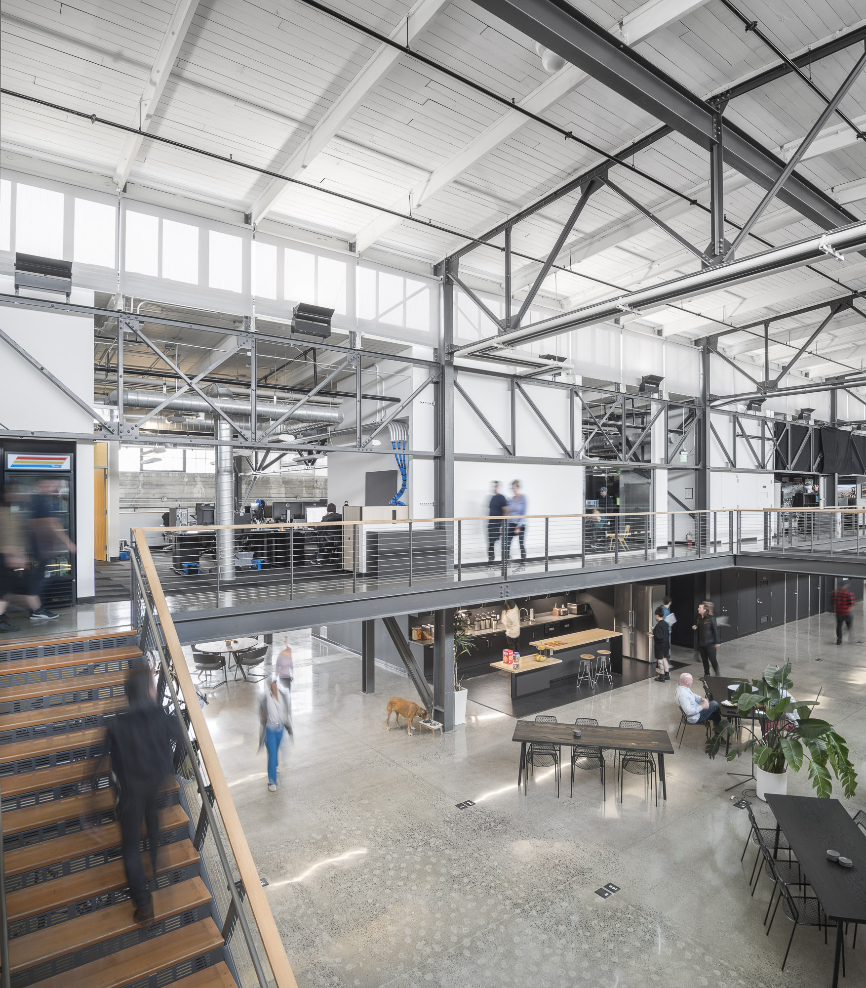 wd_20191114_0495-Edit-Edit-Edit